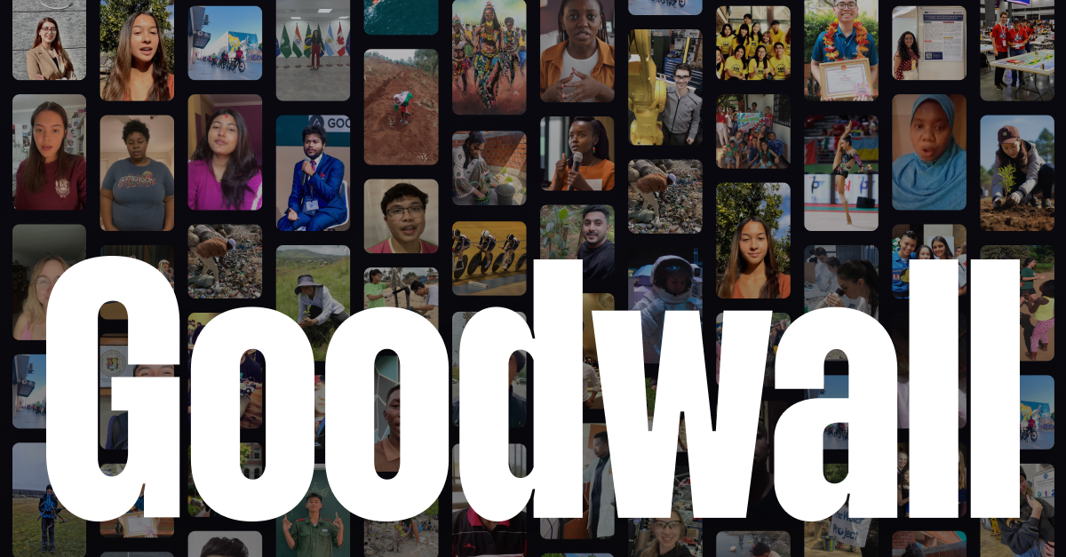 Goodwall Skills preview