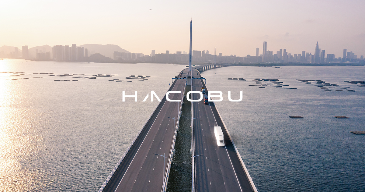 Hacobu MOVO preview