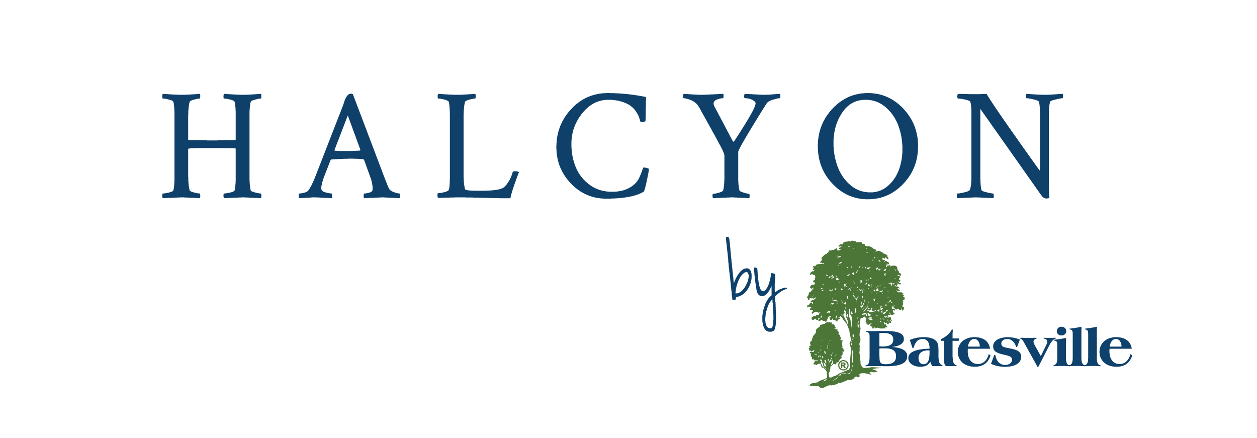Halcyon DCMS preview