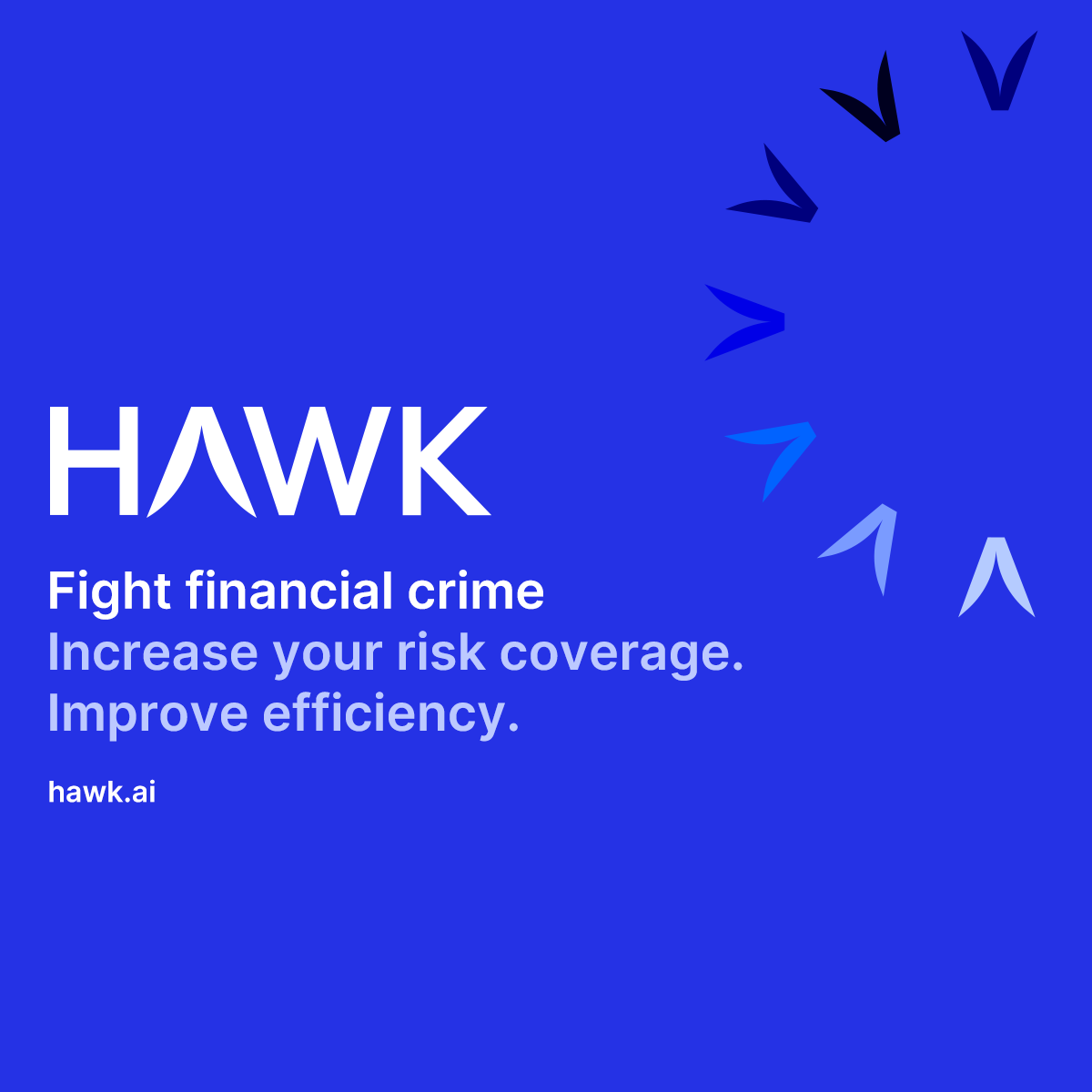 Hawk preview