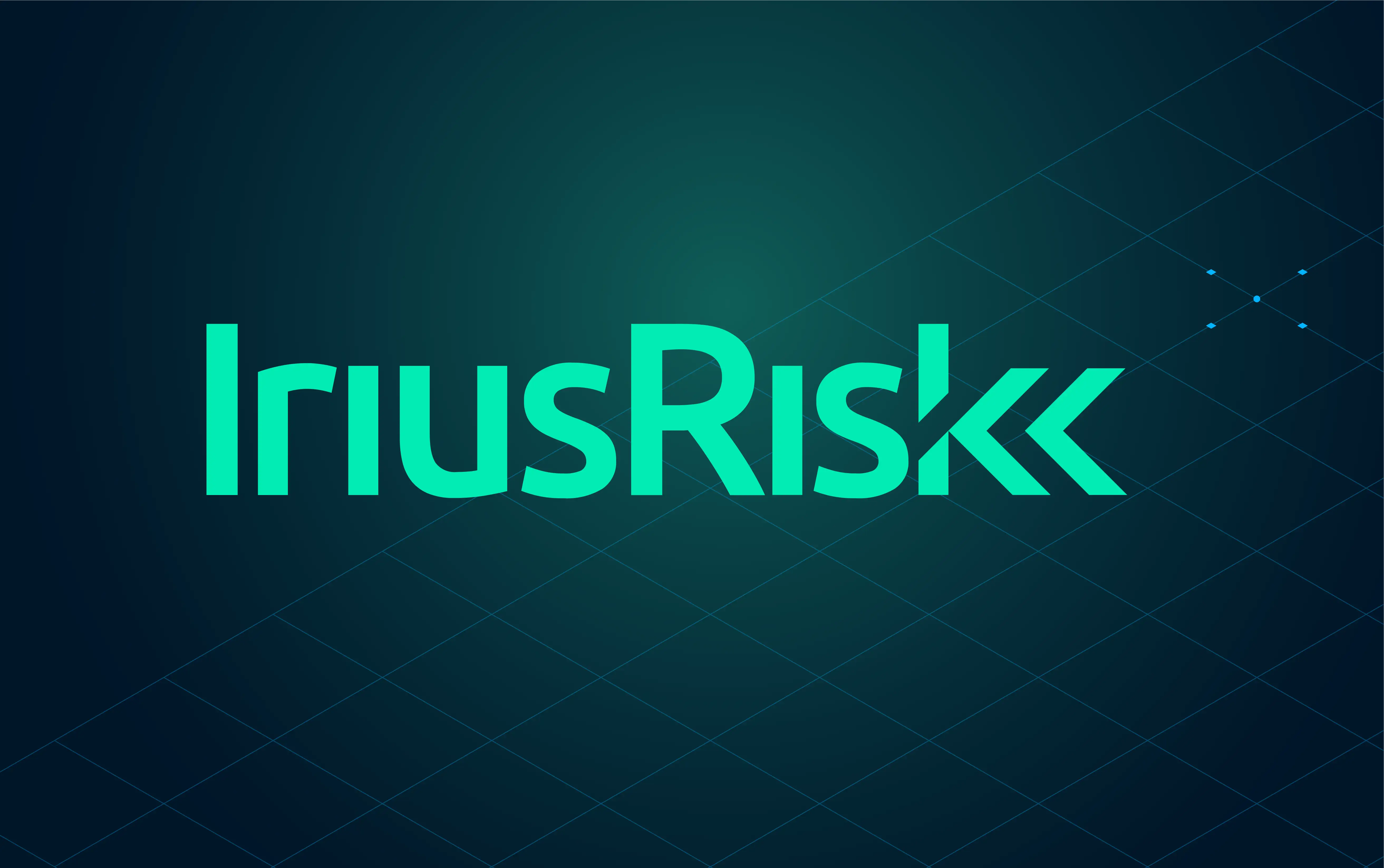 IriusRisk preview