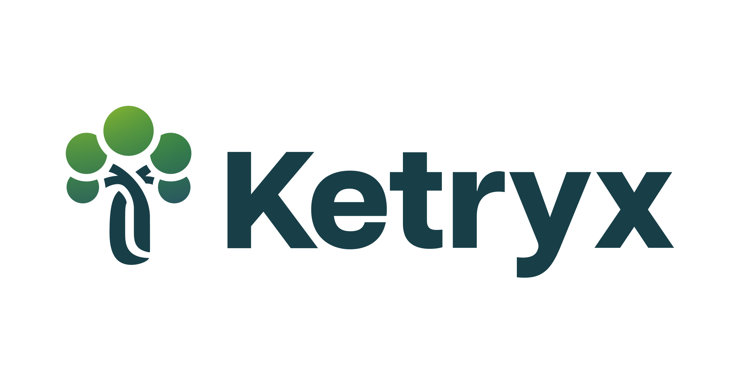 Ketryx preview