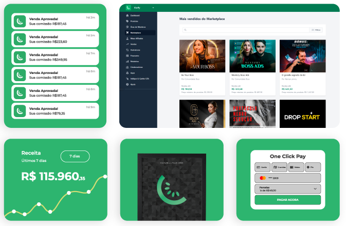 Kiwify preview
