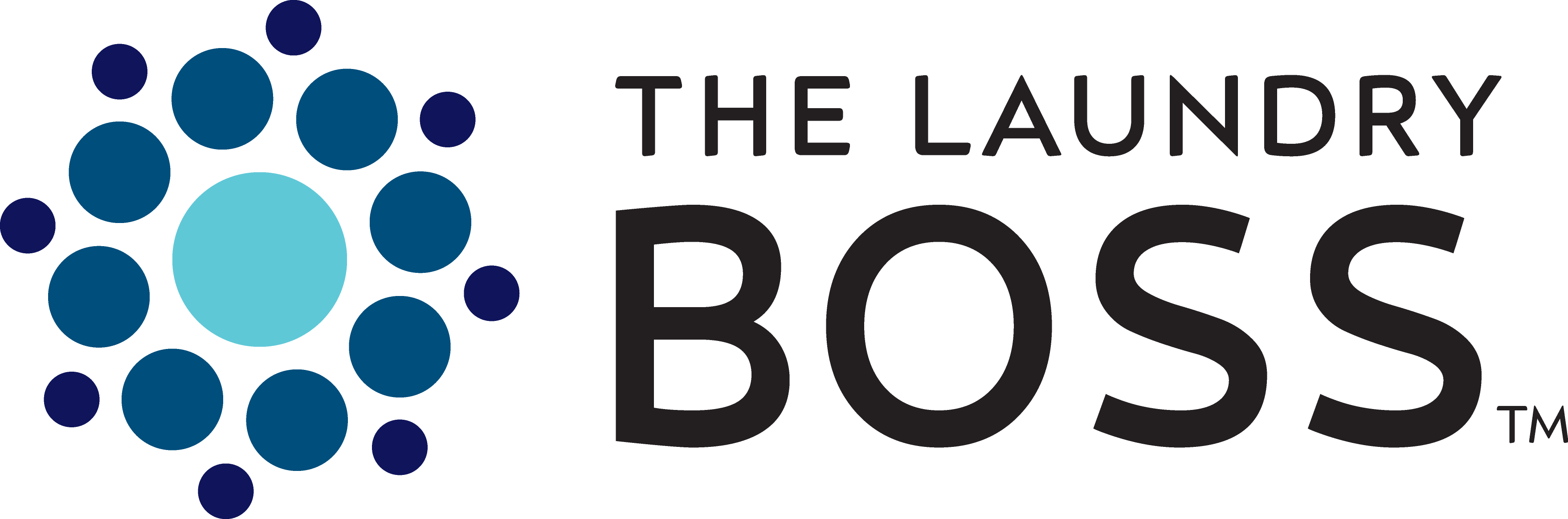 Laundry Boss preview