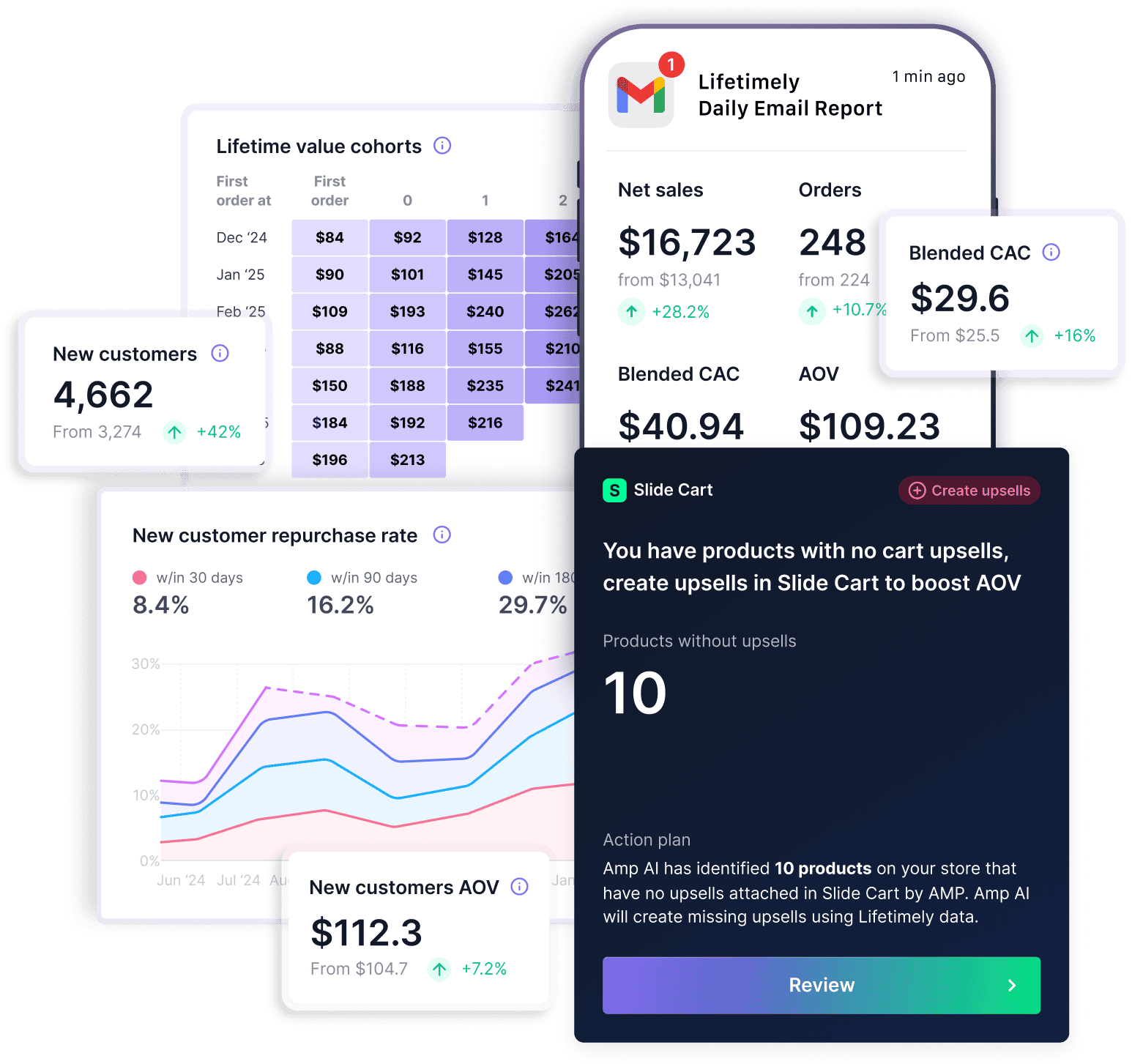 Lifetimely preview