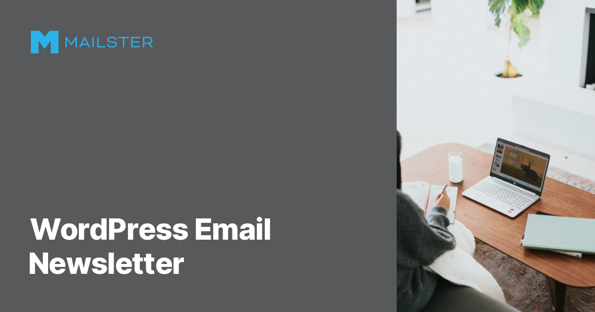 Mailster preview