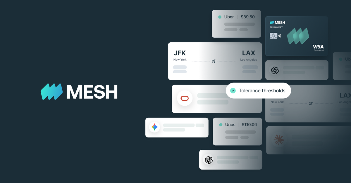 Mesh Expense preview