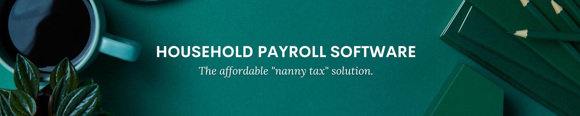 NannyPay Pro preview