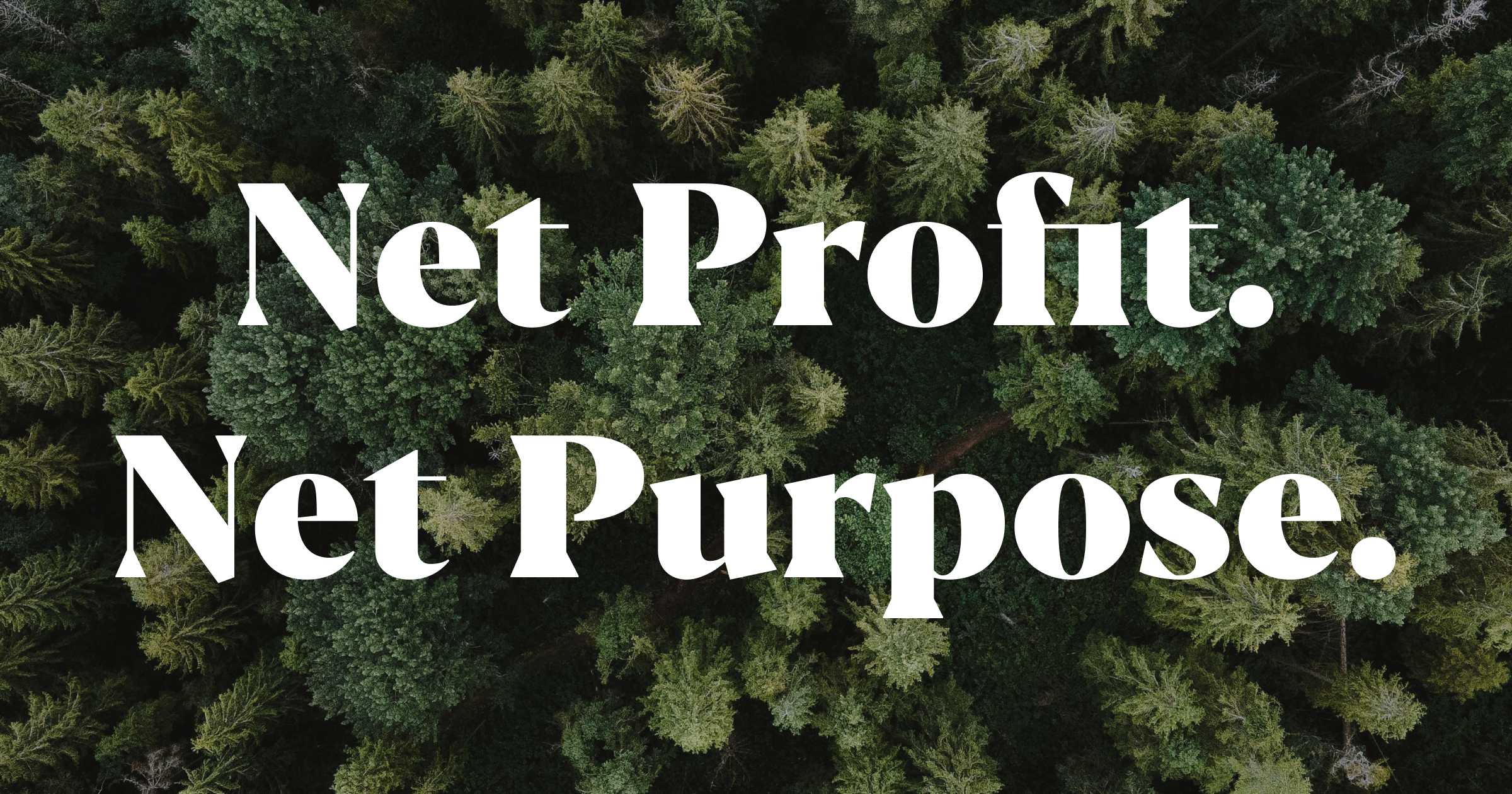 NetPurpose preview