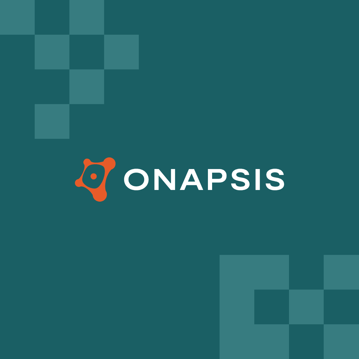 Onapsis preview