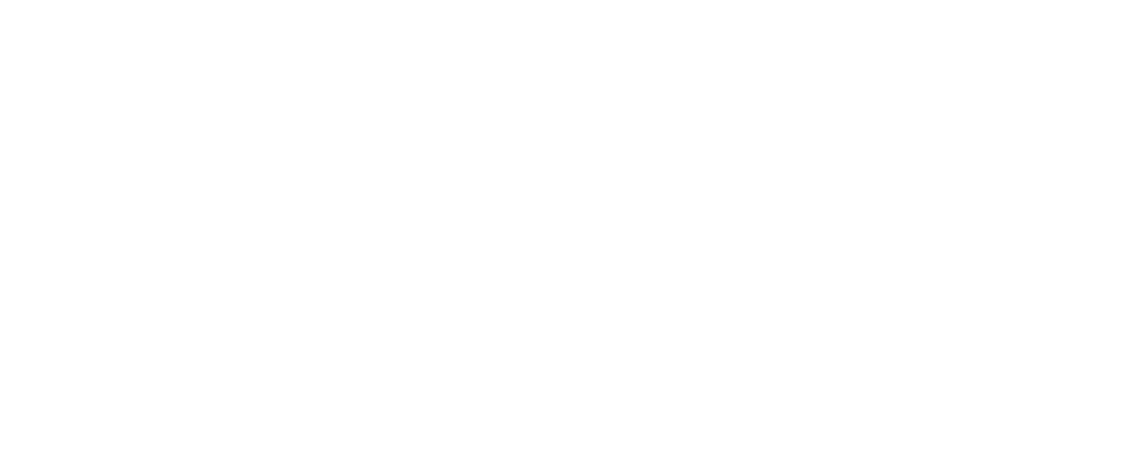 Ostrich Cyber-Risk preview