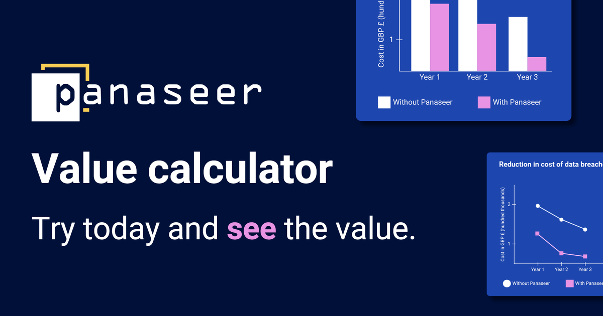 Panaseer preview
