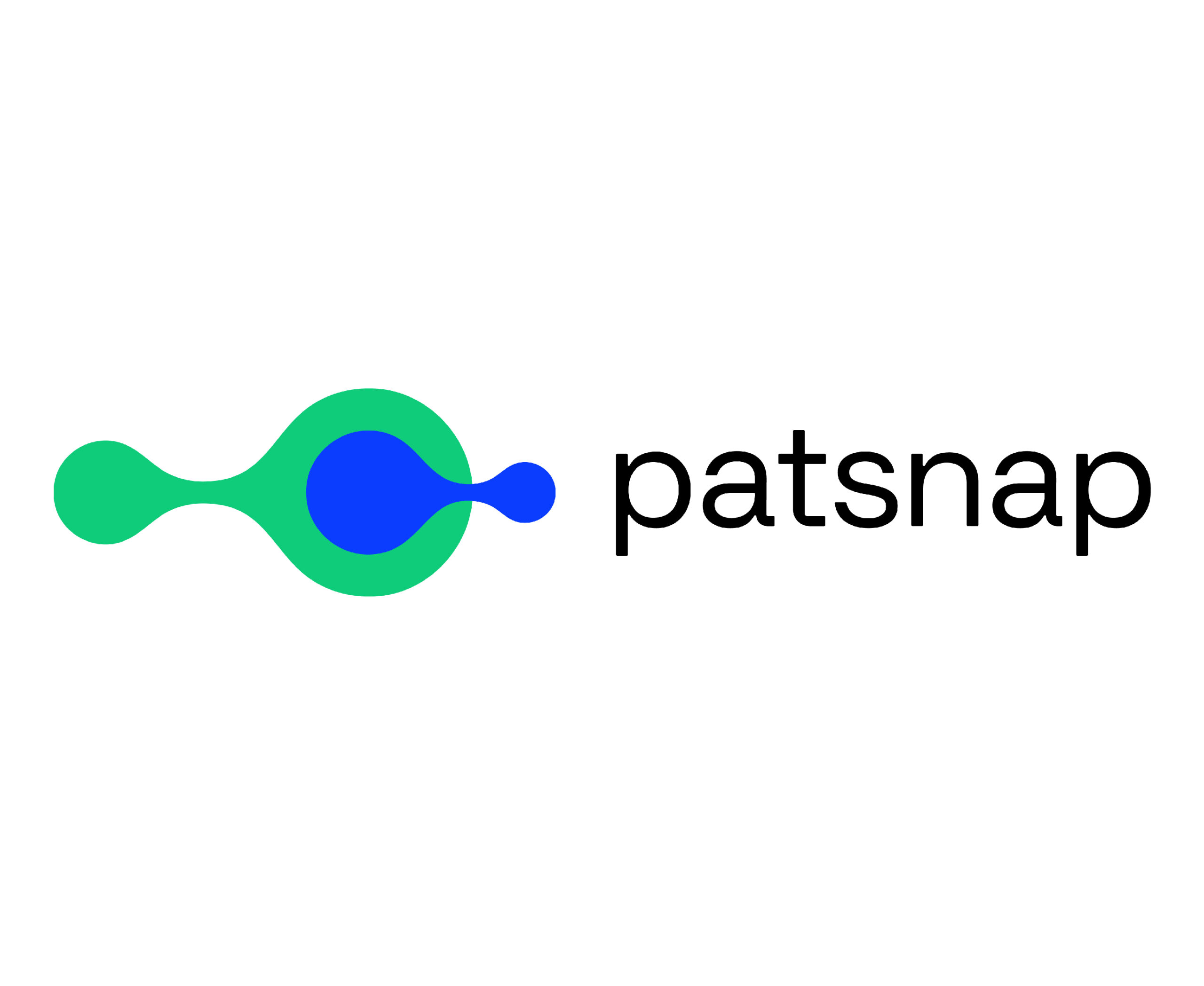 Patsnap preview