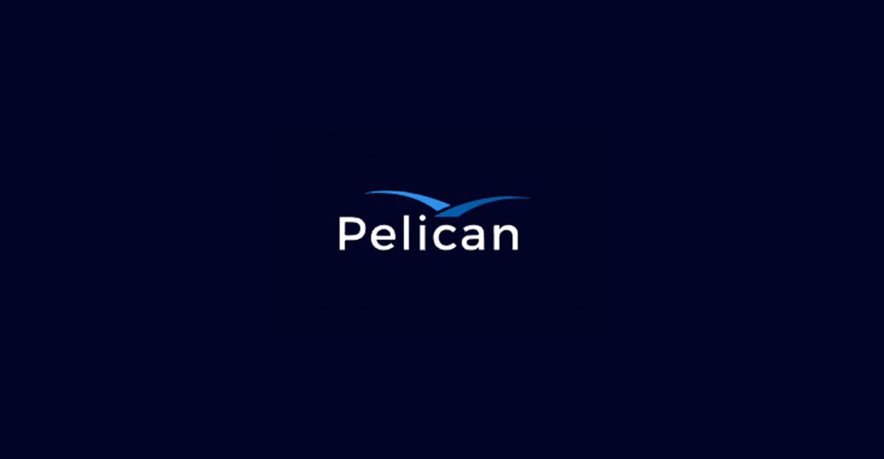 Pelican AI preview