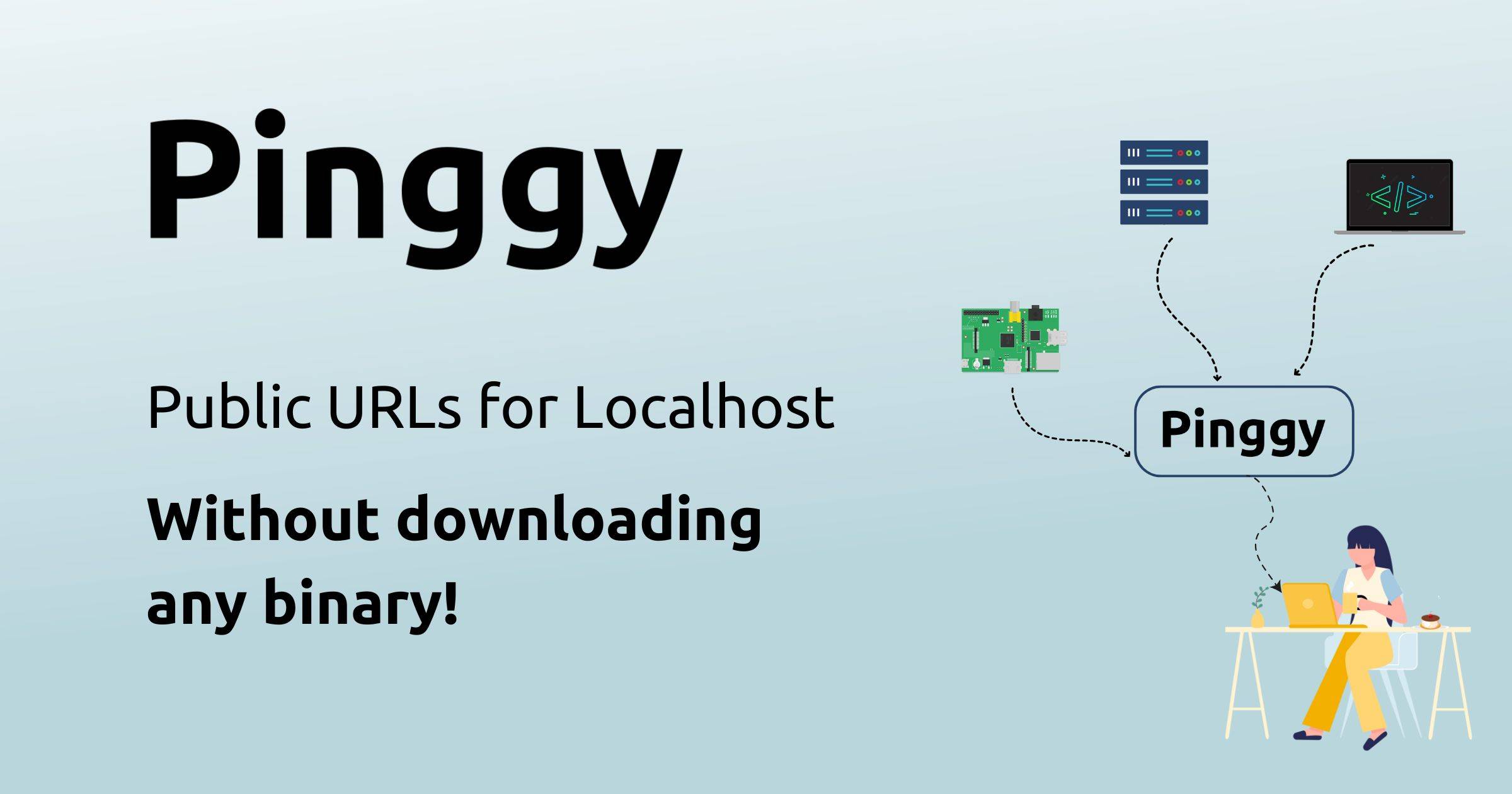 Pinggy preview
