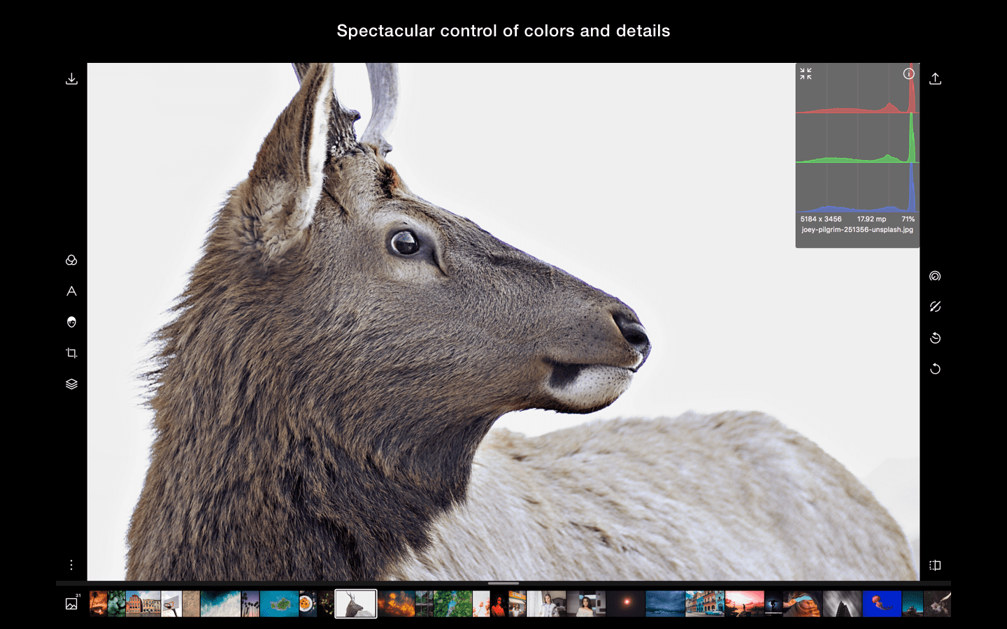 Polarr product image