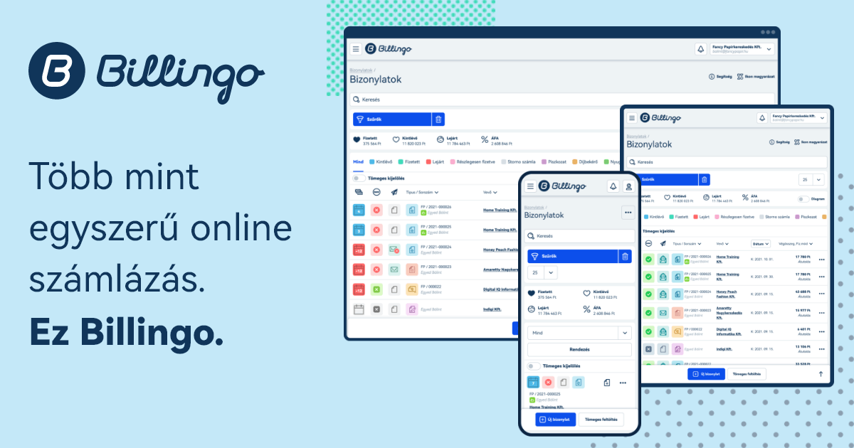 Billingo screenshot 1