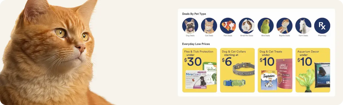 Constructor Commerce product image