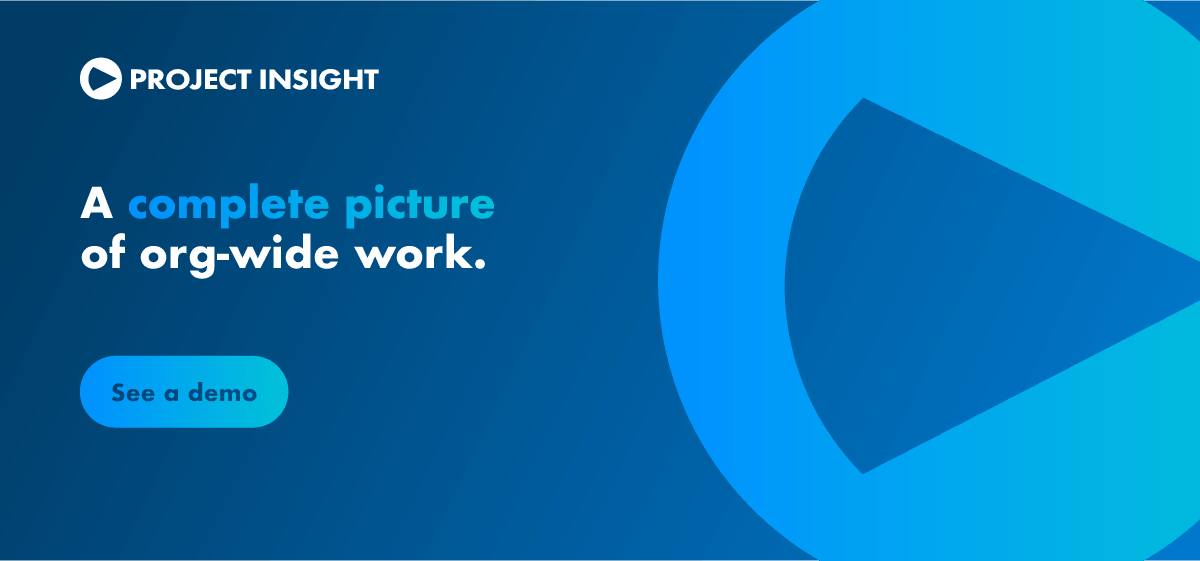 ProjectInsight preview