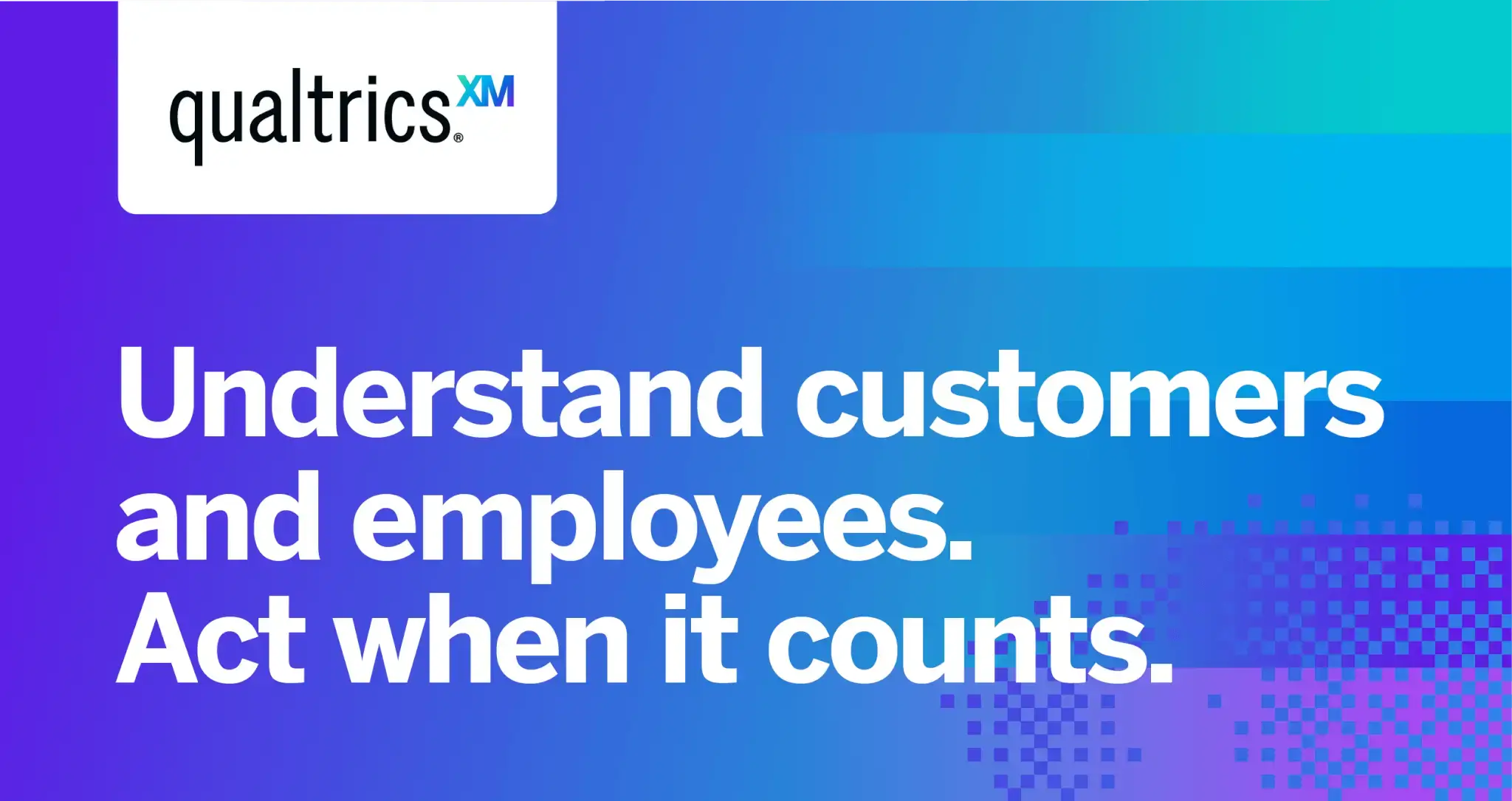 Qualtrics preview