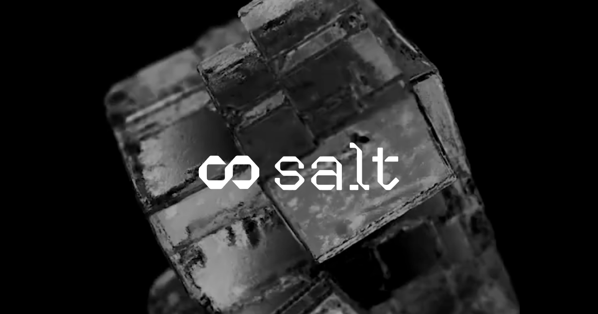 Salt AI preview