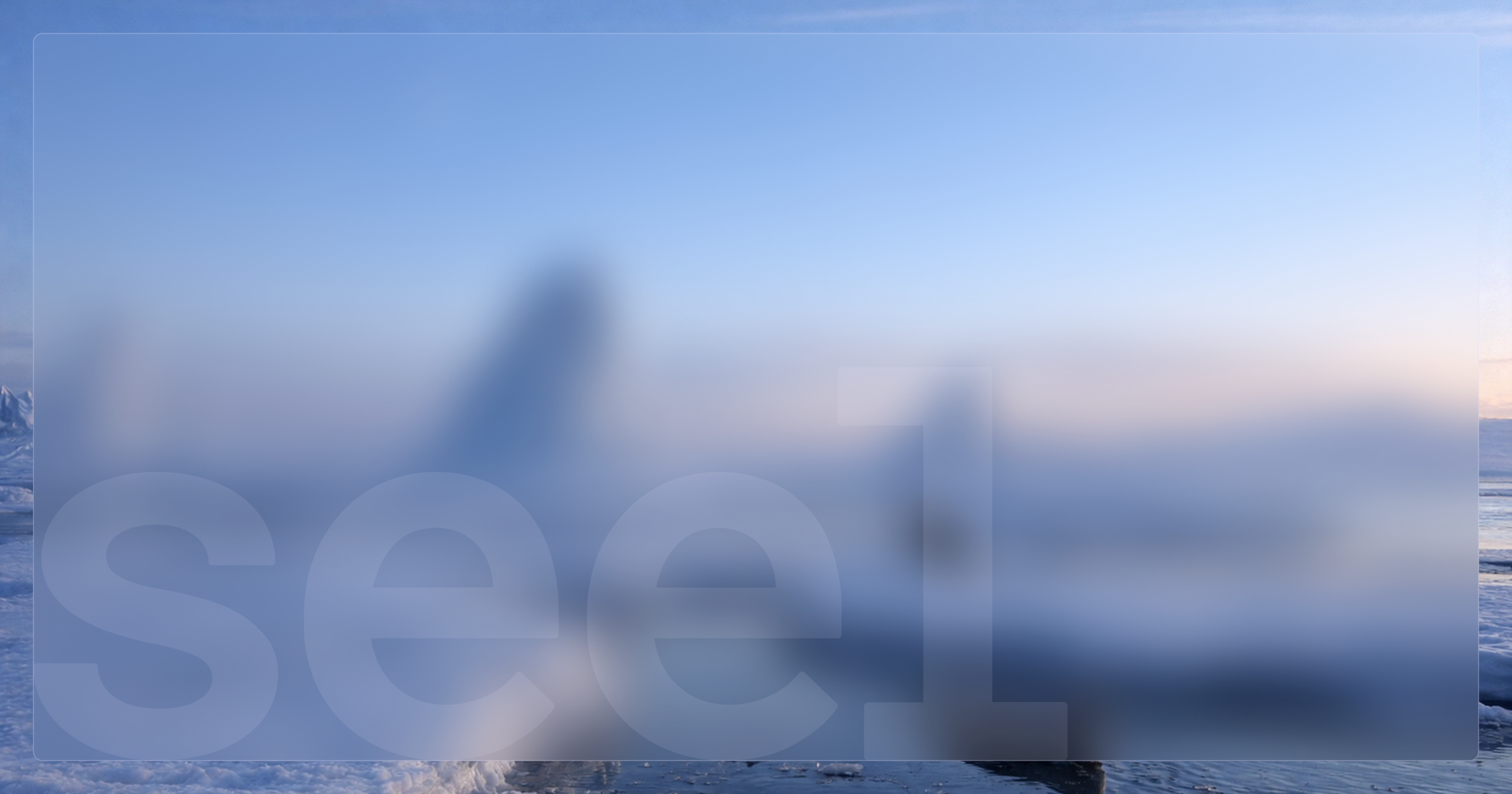 Seel preview