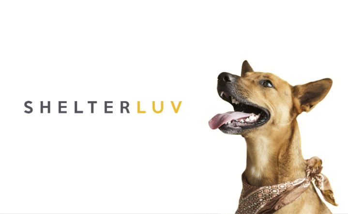 Shelterluv preview