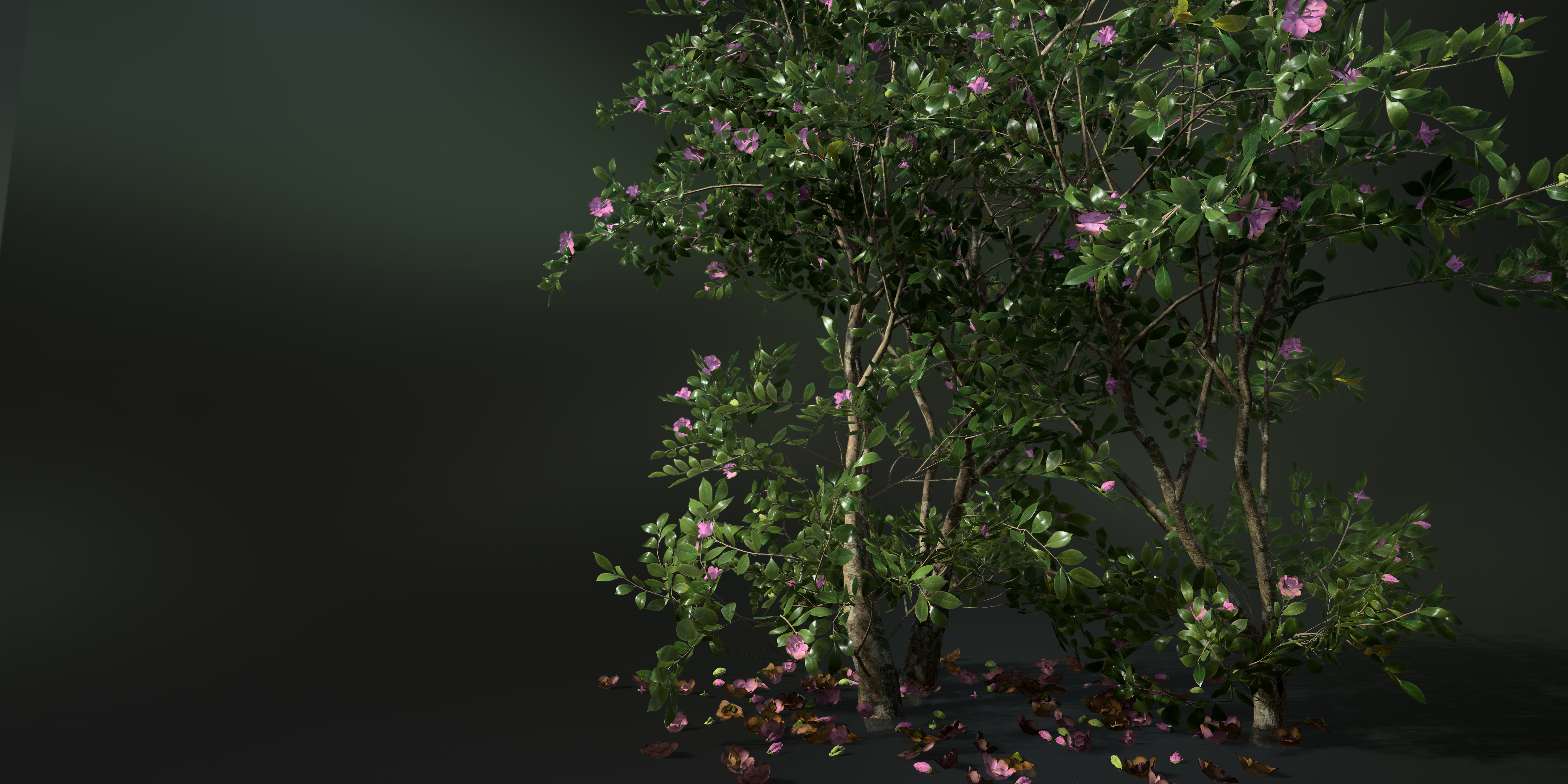 SpeedTree preview