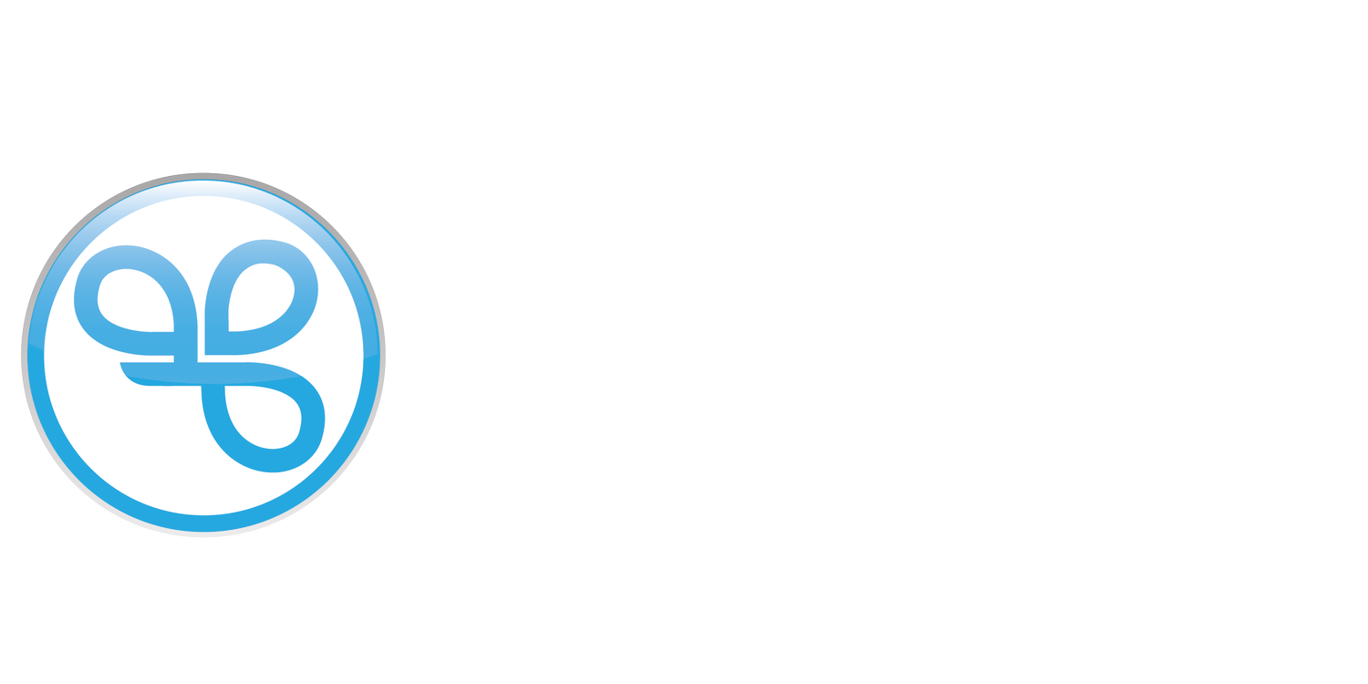 Spendgo preview
