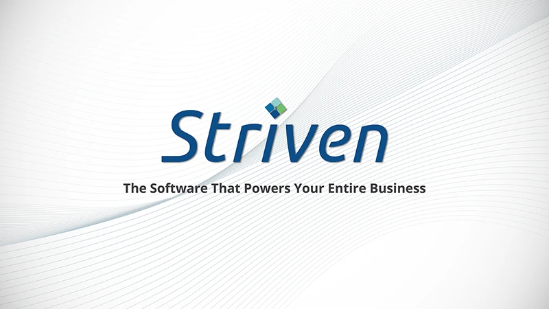 Striven preview