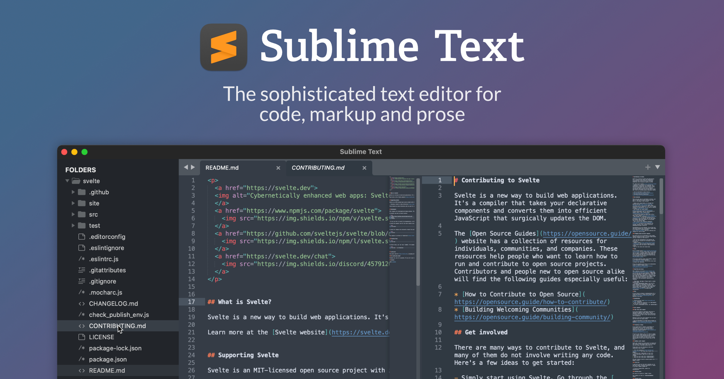 Sublime Text preview