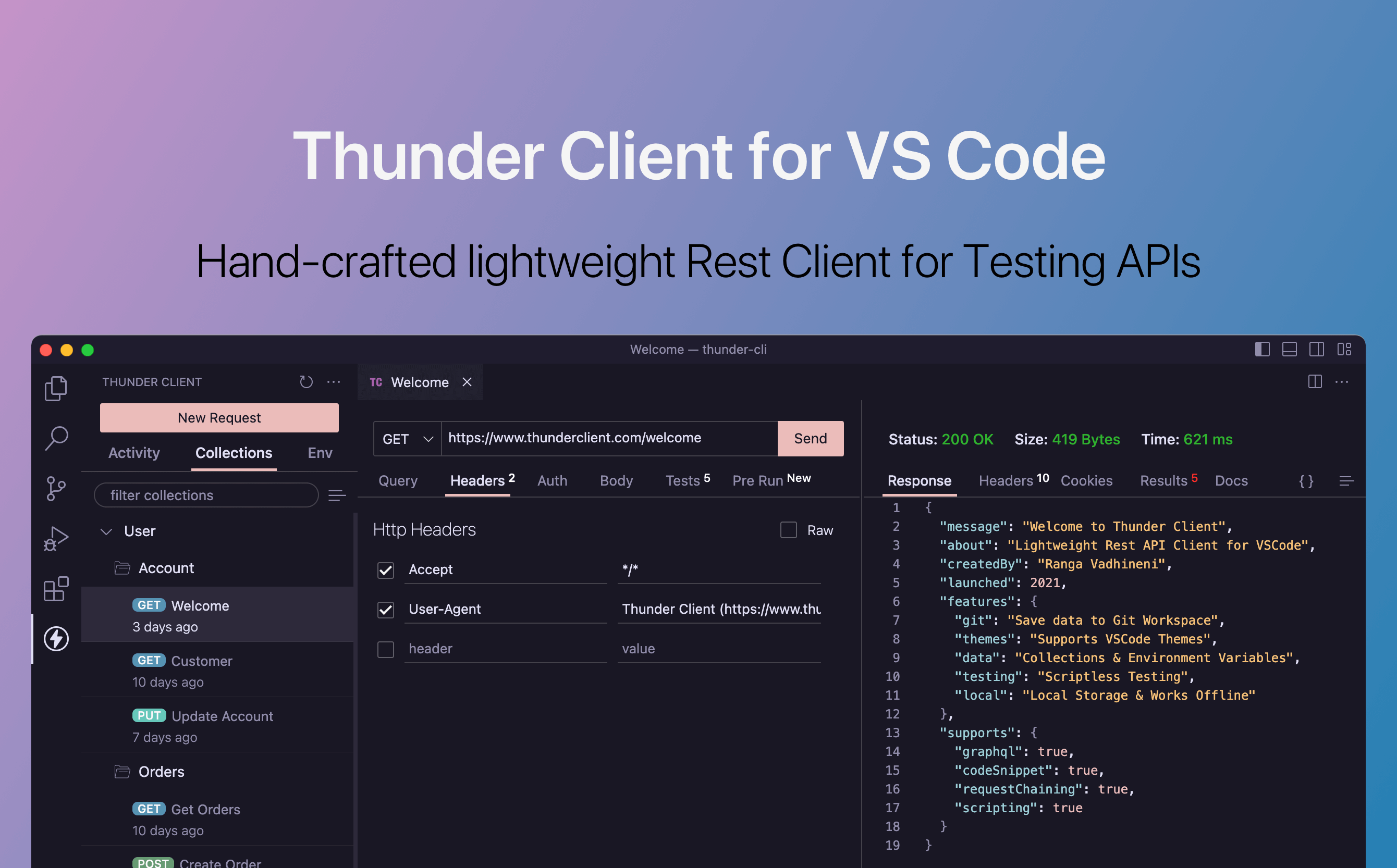 Thunder Client preview