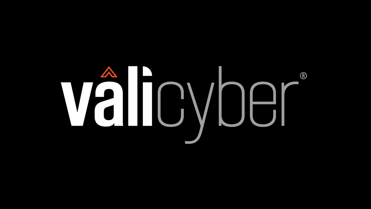 Vali Cyber preview