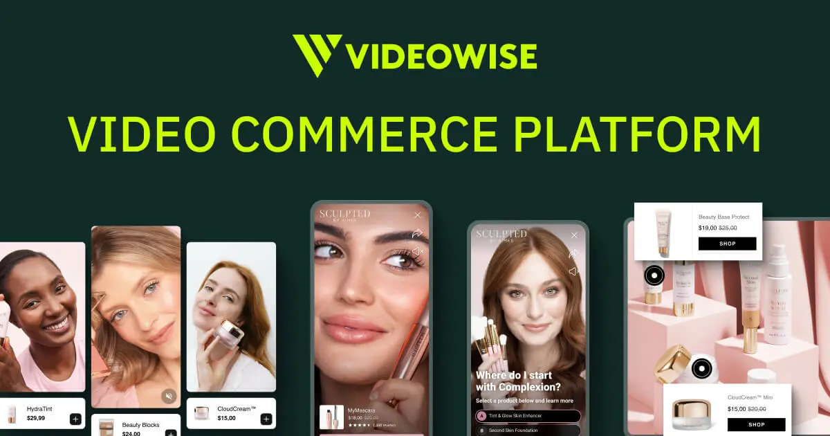 Videowise preview