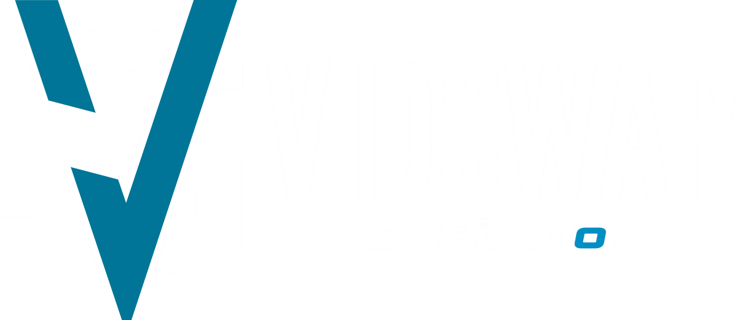 VidSwap preview