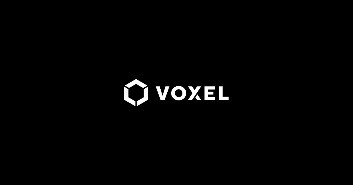 Voxel preview