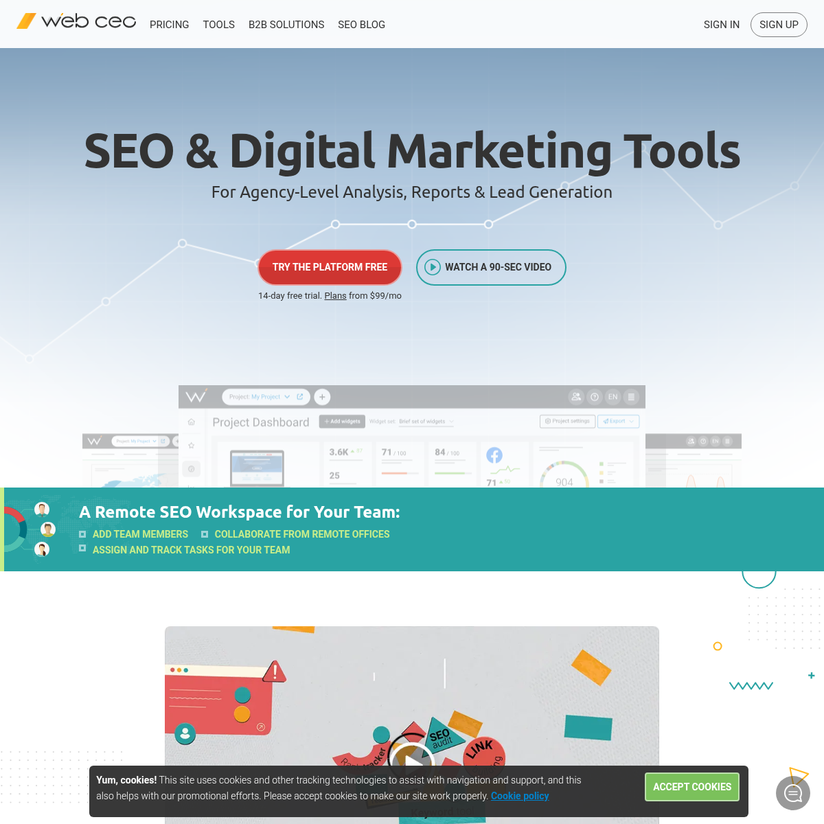 WebCEO preview