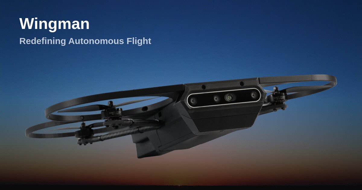 Wingman preview