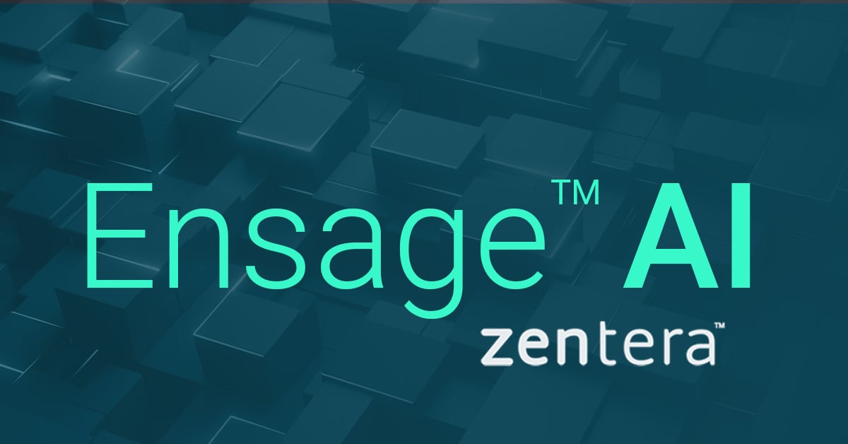 Zentera Systems preview